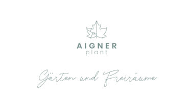 Aigner plant