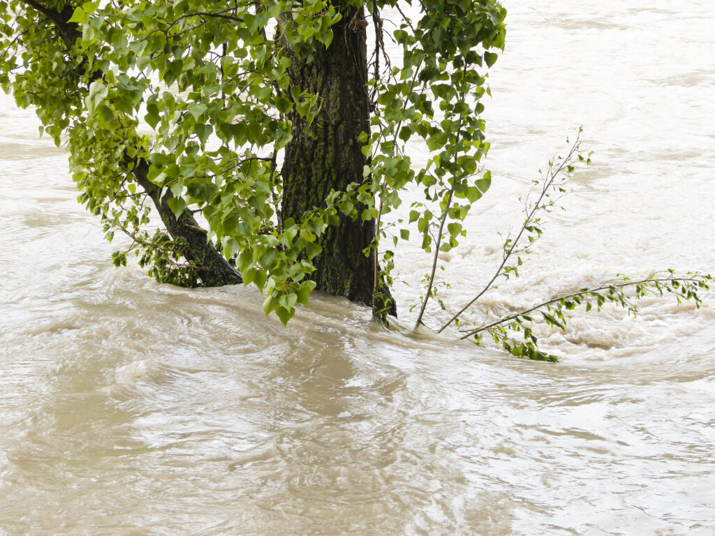 Pool nach Hochwasser wieder in Betrieb nehmen. 